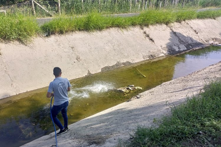 Manisa Salihli'de ilaçlamalar sürüyor