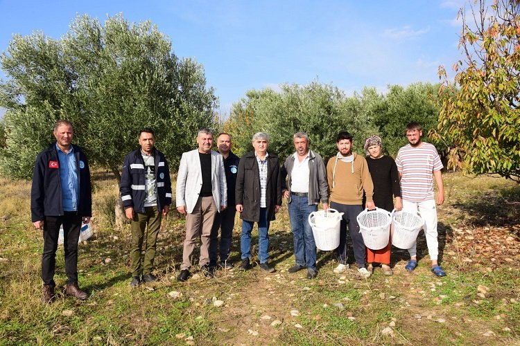 Manisa Turgutlu’da zeytin emekçilerine malzeme