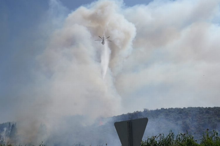 Milas'ta yangın! 2 mahalleyi tehdit ediyor