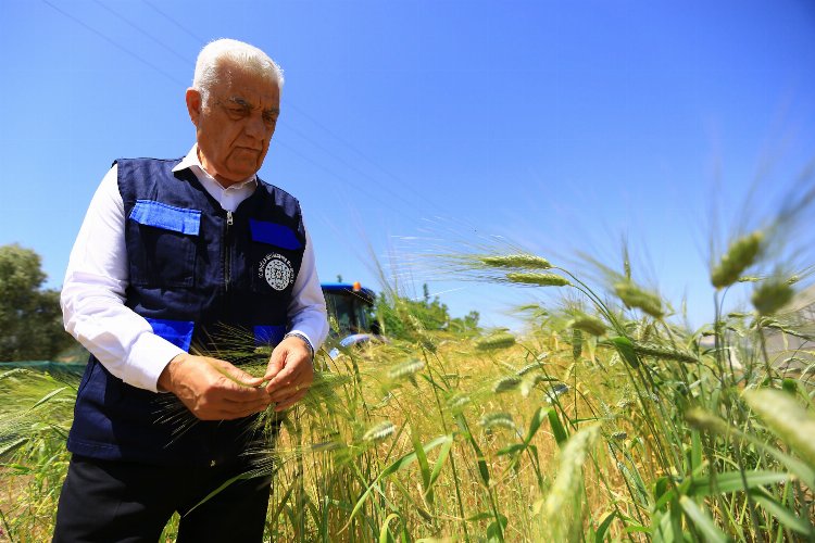 Muğla'da tarım ve hayvancılığa büyük destek