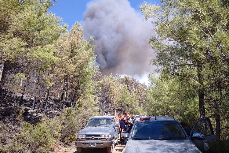 Muğla Marmaris'teki yangında soğutma çalışmaları sürüyor