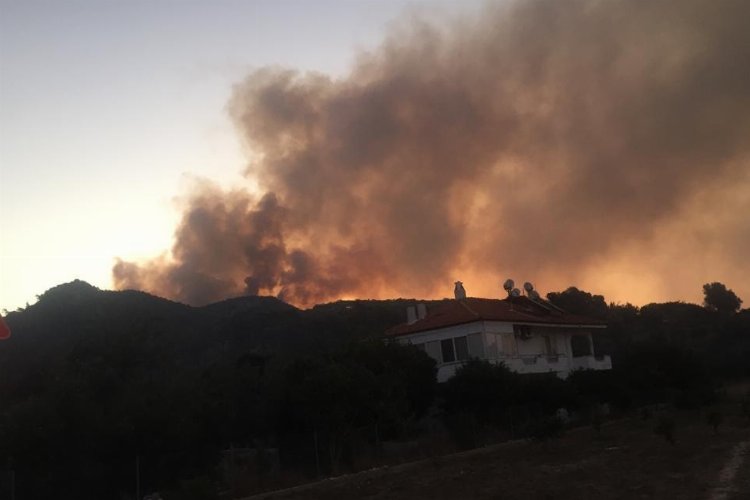 Muğla Ula'daki yangında 50 hektar ormanlık alan zarar gördü