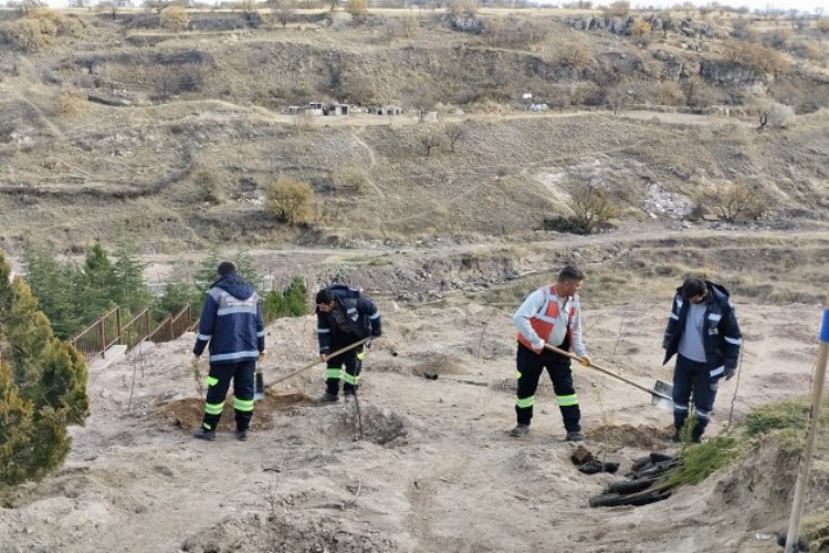 Nevşehir Belediyesi'nden 24 Kasım anısına fidan