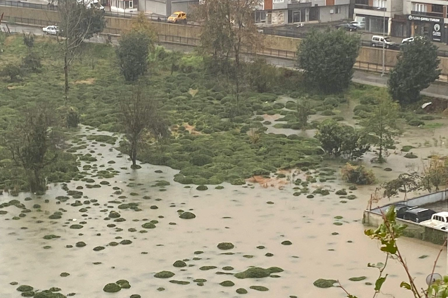 Rize Çayeli'nde heyelan! CHP: Bu tür afetler kader değil, basiretsizliktir!