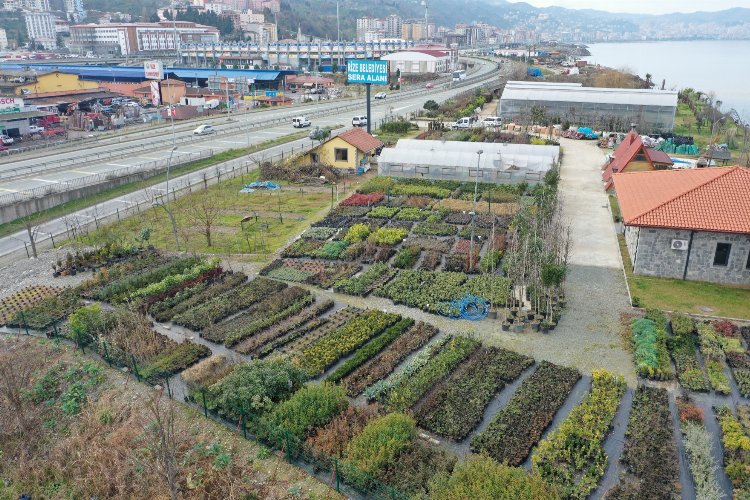 Rize'de 300 bitki türü üretiliyor