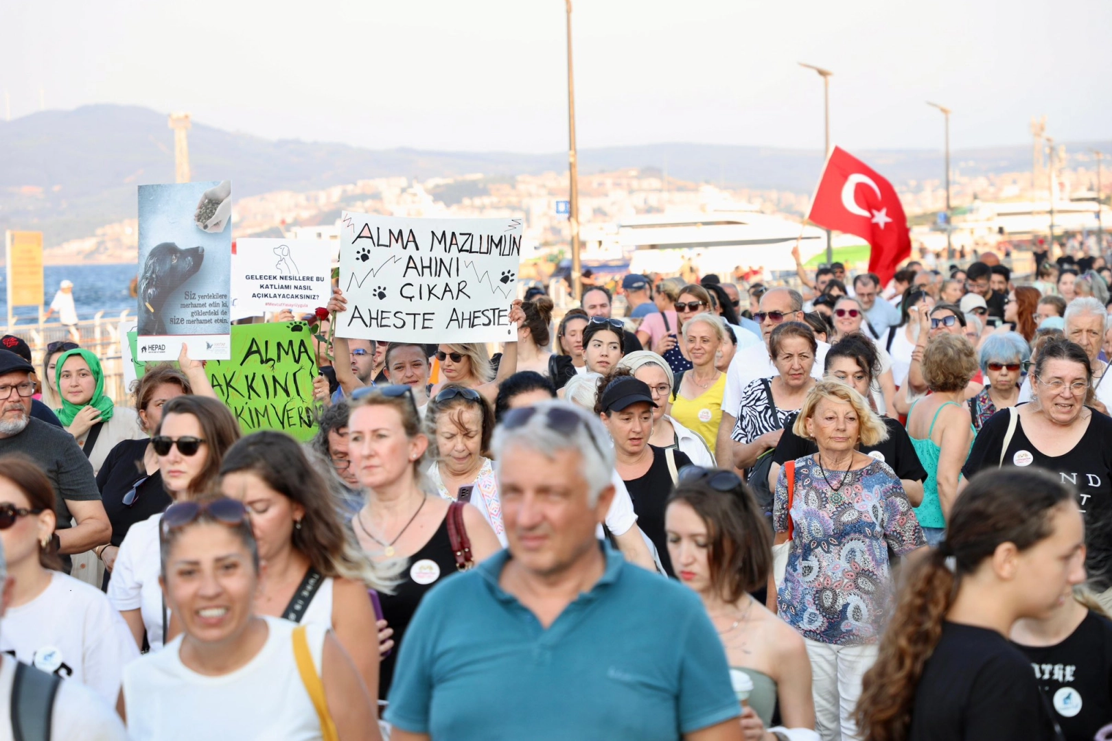 Sahipsiz hayvanlar için sesler Mudanya'dan yükseldi