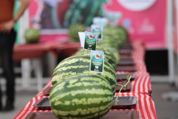 Silivri'de Karpuz Festivali coşkusu yaşandı