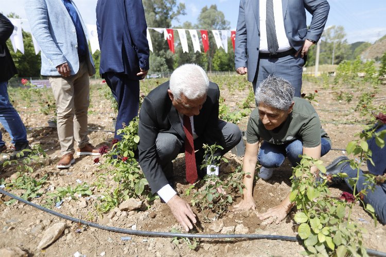 Tıbbi Bitkiler Koleksiyon Bahçesi hizmete açıldı