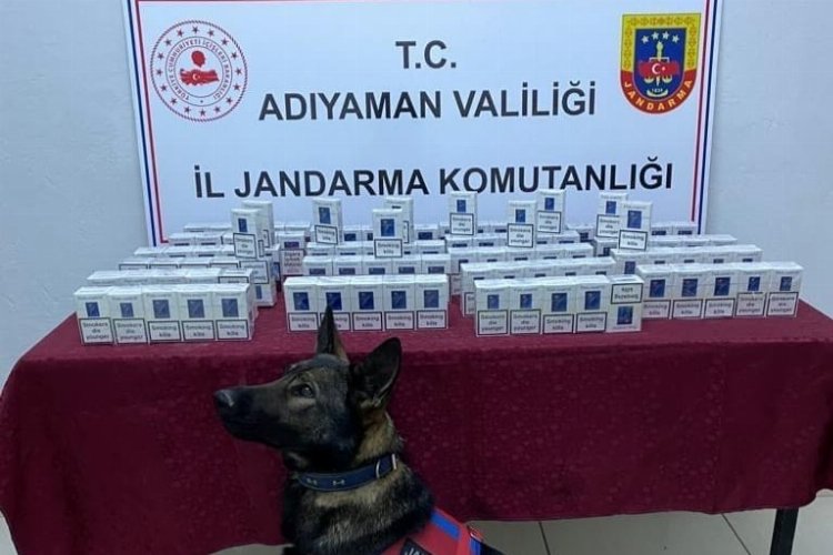 Adıyaman'da 100 paket kaçak sigara ele geçirildi