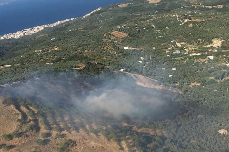 AFAD'dan 'orman' genelgesi