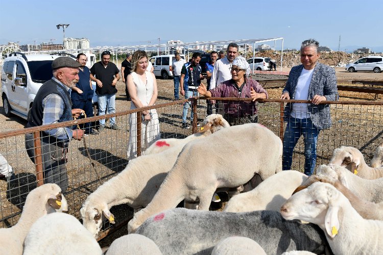 Antalya Muratpaşa'da kurbanlık hazırlıklar tamam