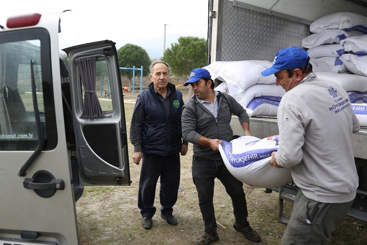 Aydın Büyükşehir'den yem desteği