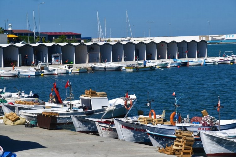 Balıkçılar mutlu! Hayaldi, gerçek oldu