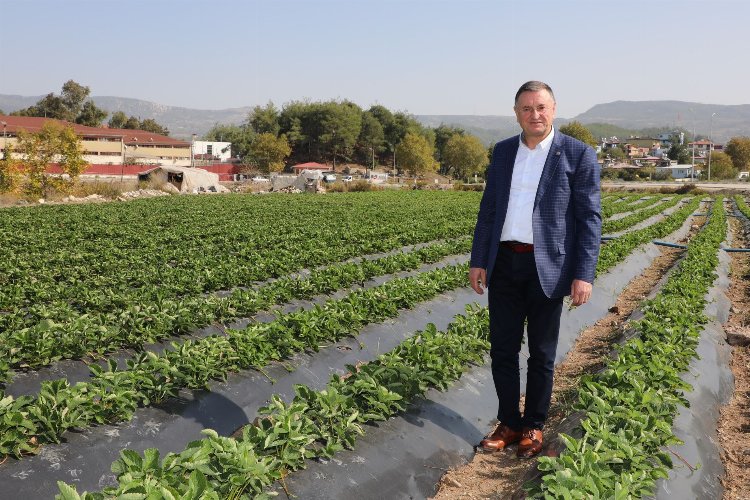 Başkan Savaş: "Hatay'da tüm uğraşımız çiftçimiz toprağını bırakmasın diye"