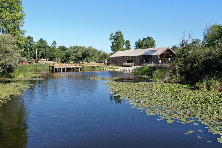 Bayramda Sakarya'da turistik noktalar ziyaretçi akınına uğradı