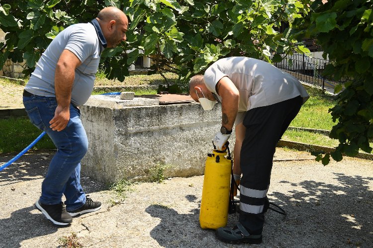 Beylikdüzü'nde ilaçlamalar sürüyor