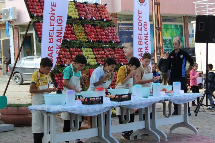 Bilecik İnhisar'da şenlikli nar hasadı