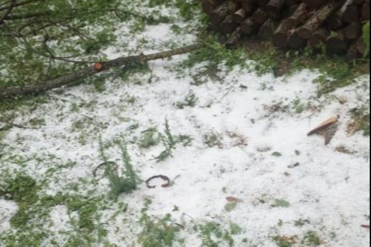 Bilecik Pazaryeri'ni dolu vurdu! Tarım arazileri zarar gördü