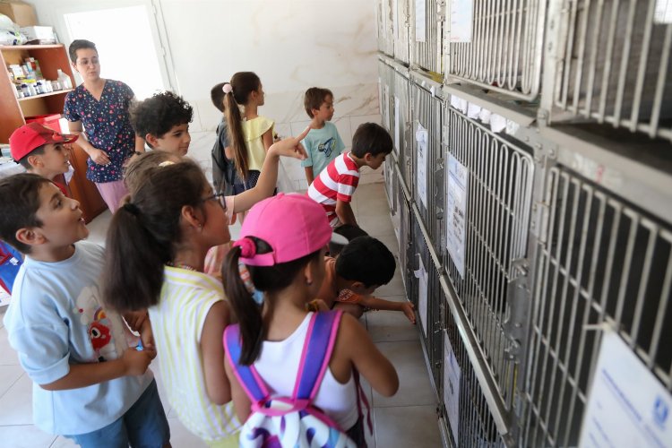 Bodrum'da öğrencilerden can dostlara ziyaret