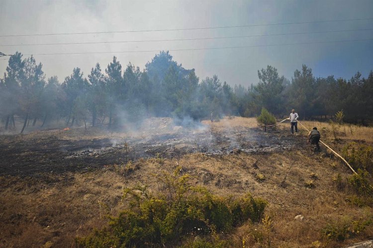 Bursa Büyükorhan'da yangın kabusu