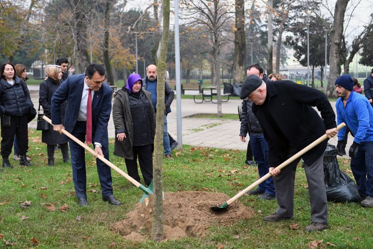 Bursa'da lodos yıktı Osmangazi Belediyesi yeşertiyor