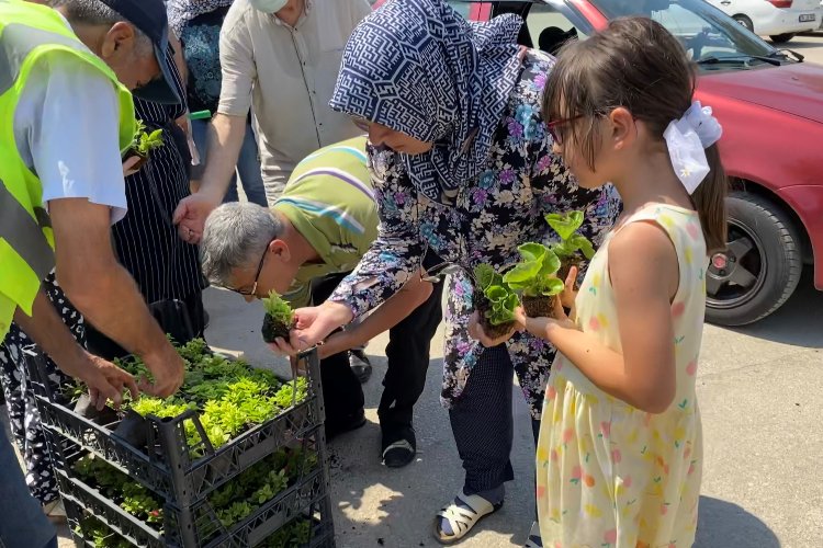 Bursa'da mezarlık ziyaretçilerine ücretsiz çiçek