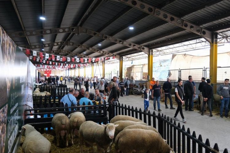 Bursa İnegöl 40 bin ziyaretçiyi ağırladı