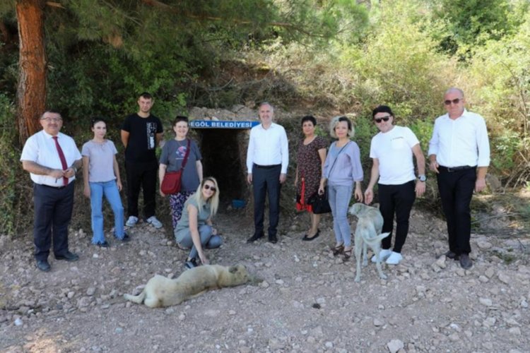 Bursa İnegöl'de sokak canlılarına doğal alanlar