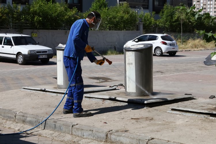 Bursa'nın sinekle mücadelesi laboratuvara taşındı