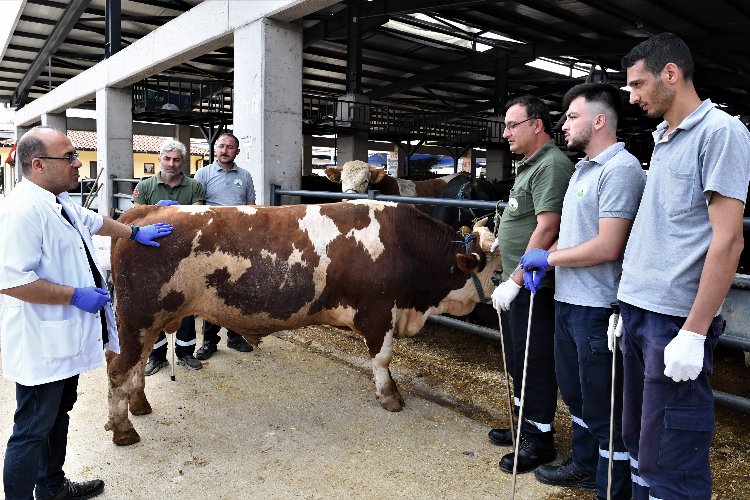 Bursa Osmangazi'de kaçan kurbanlıklar onlara emanet