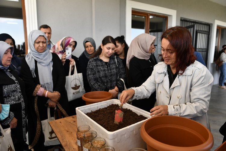 Bursa Osmangazi’de sebzeler balkonlarda yeşerecek