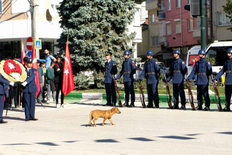 Bursa Yenişehir'de gülümseten anlar