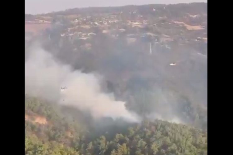 Çanakkale'deki yangında son durum... Çanakkele'de tedbir amaçlı kara ve deniz ulaşımı kapalı