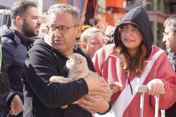 Diyarbakır'da son kedi de kurtarıldı!