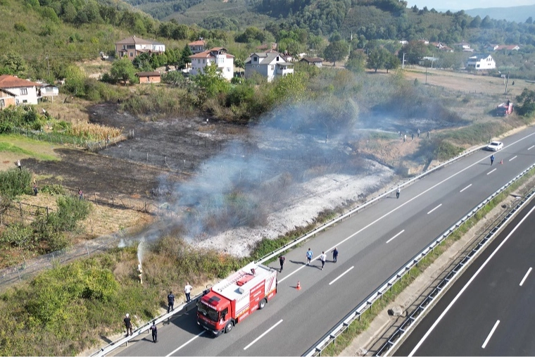 Düzce'de anız yangını! Fındık arazisi zarar gördü!