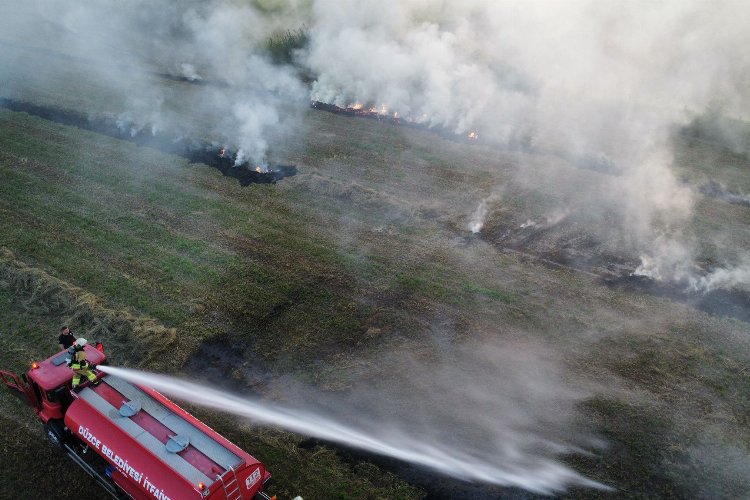 Düzce'de çıkan anız yangını korkuttu