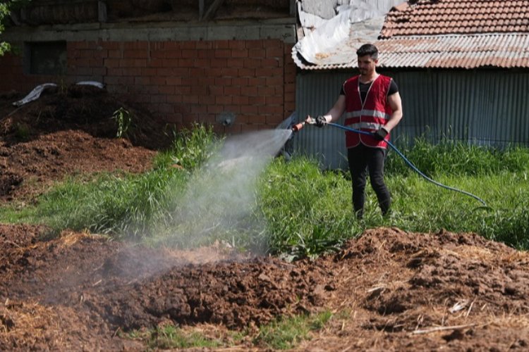 Düzce'de ilaçlama çalışmaları yeniden başladı