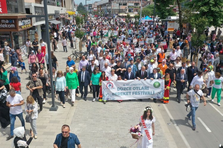 Düzce'nin otlarını dünya tanıyacak