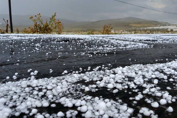 Edirne'de 16 bin dekarda dolu zararı