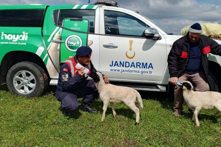 Edirne Jandarması'ndan hayvan sağlığı bilgilendirmesi