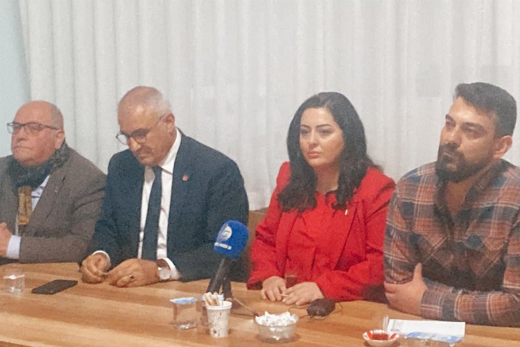 Gazeteci yazar Özge Demir CHP'den aday adaylığını açıkladı