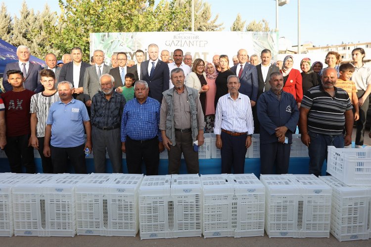 Gaziantep hasat kasalarını Oğuzeli'nde dağıttı