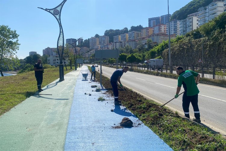 Giresun'da peyzaj alanları yenileniyor