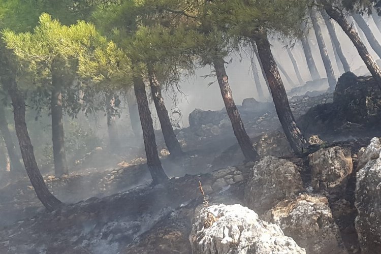 Hatay Antakya'da'daki yangın büyümeden söndürüldü