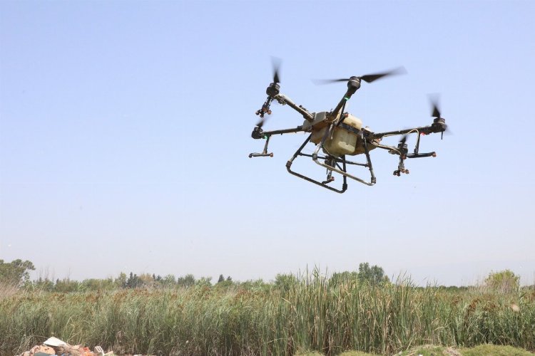 Hatay'da droneli ilaçlama başladı