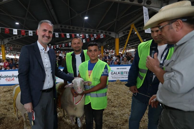 İnegöl'de yerli tavuk ırkları ile koçlar podyuma çıkacak