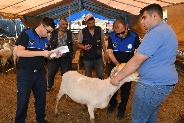 İzmir Karabağlar'da 'kurban' denetimleri