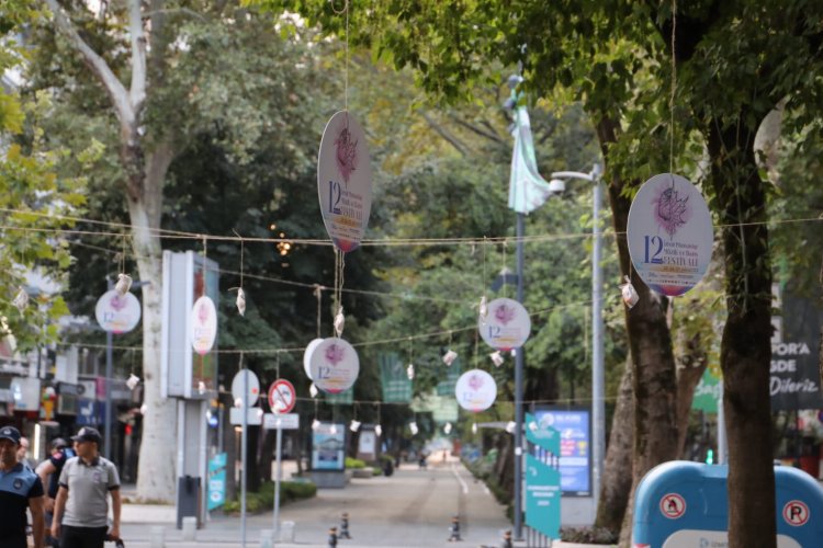 İzmit’te ağaçlar pişmaniye açtı