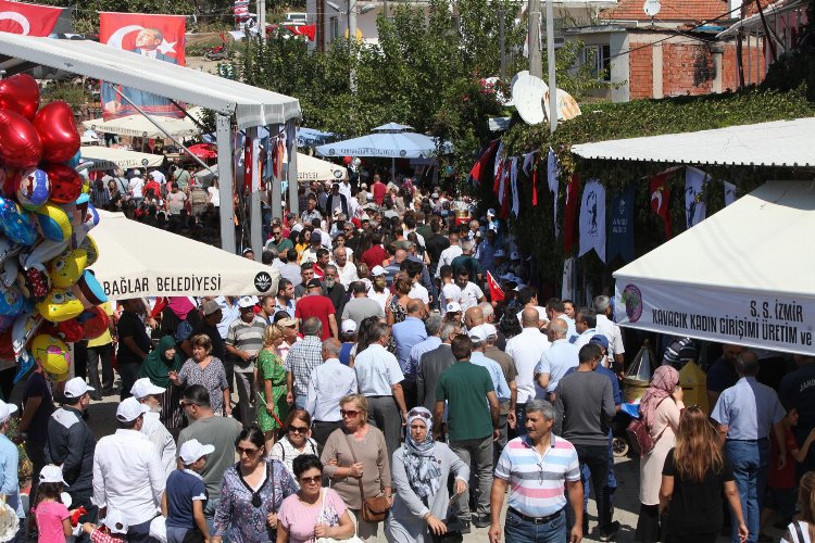 Kavacık Üzüm Festivali bugün başlıyor