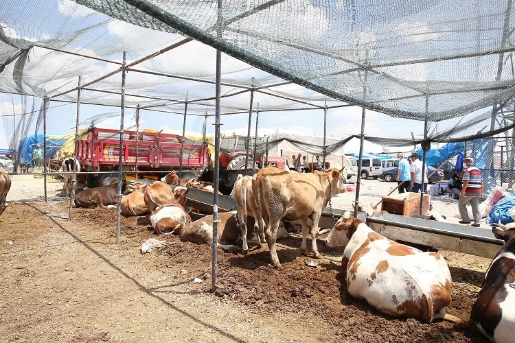 Kayseri Büyükşehir kurban tedbirlerini aldı